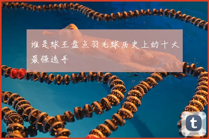 谁是球王盘点羽毛球历史上的十大最强选手